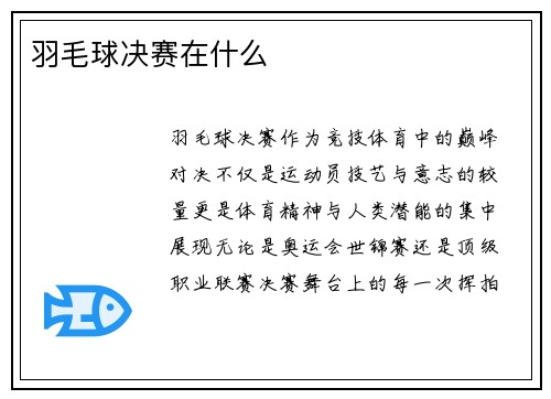 羽毛球决赛在什么